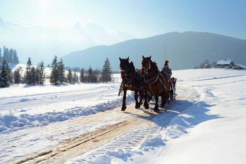 Cozy holiday apartments in Abtenau - Unterwötzlhof